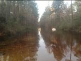 SPRING FLOOD 2013