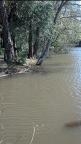 SPRING FLOOD 2013
