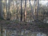 SPRING FLOOD 2013