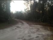 SPRING FLOOD 2013